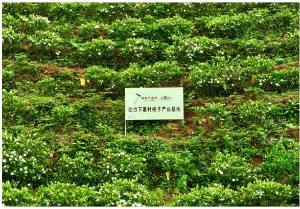 112504140.jpg 25.jpg